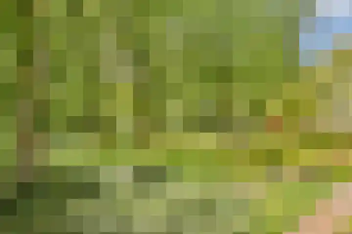 Het Laagt 161 Amsterdam thumbnail 7