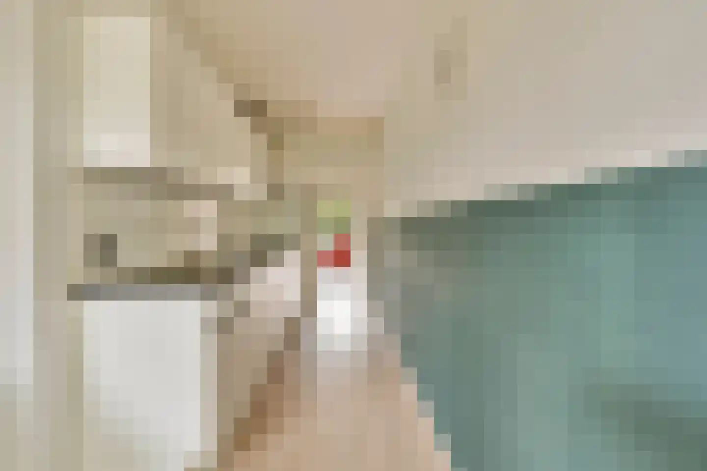 Het Laagt 224 Amsterdam thumbnail 14