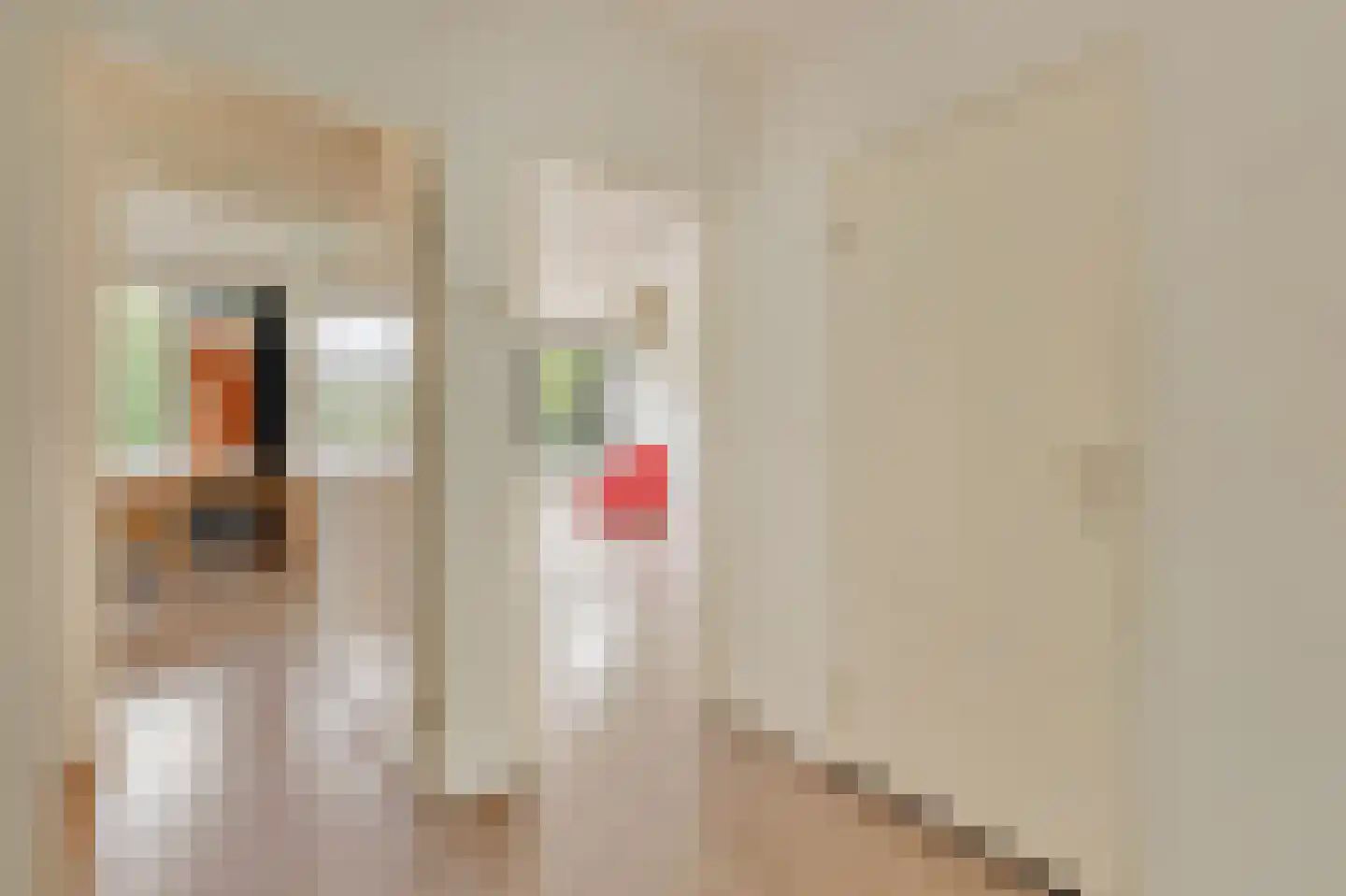Het Laagt 224 Amsterdam thumbnail 15