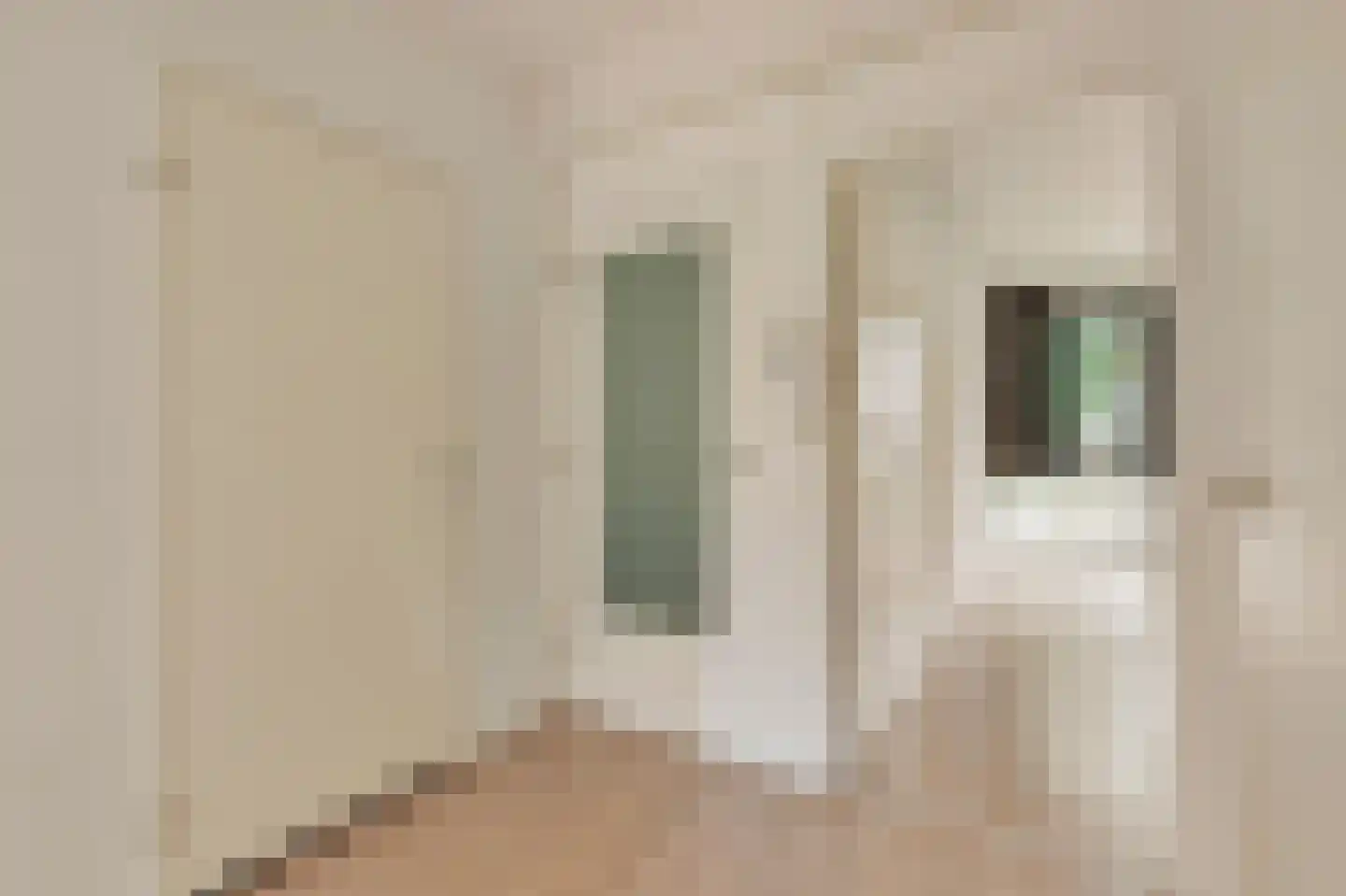 Het Laagt 224 Amsterdam thumbnail 18