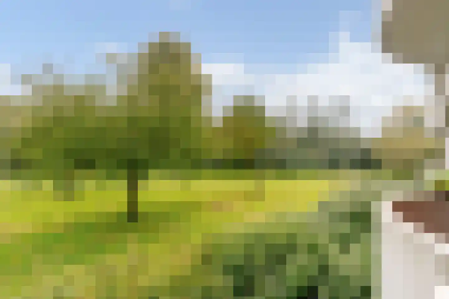 Het Laagt 224 Amsterdam thumbnail 27