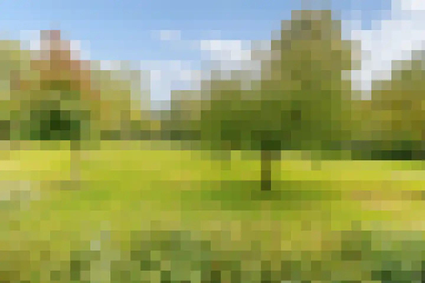 Het Laagt 224 Amsterdam thumbnail 28