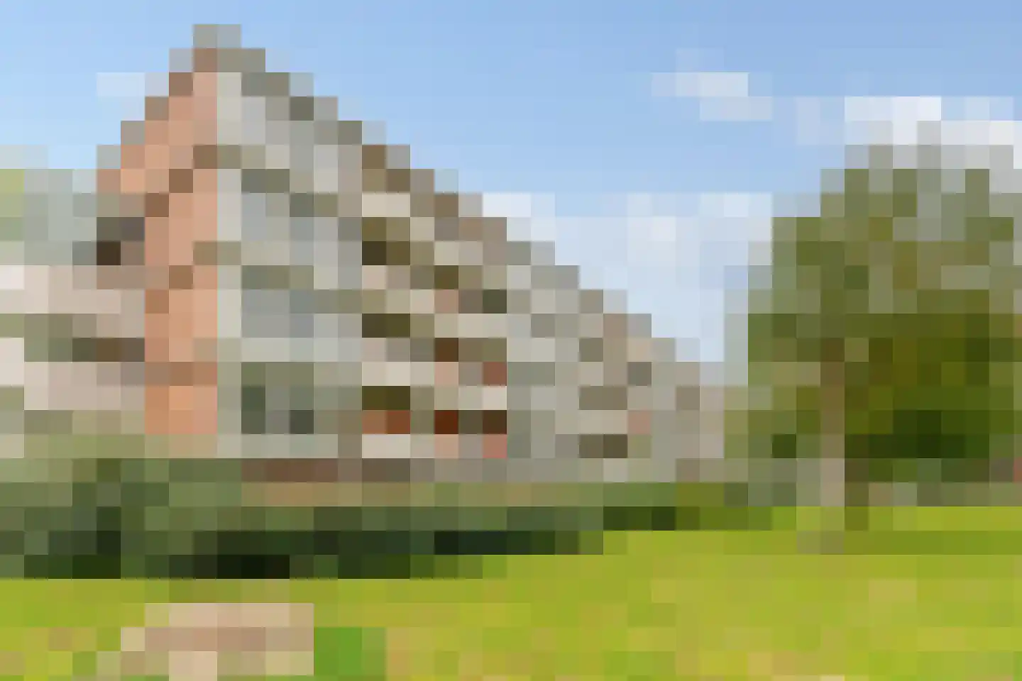 Het Laagt 224 Amsterdam thumbnail 29