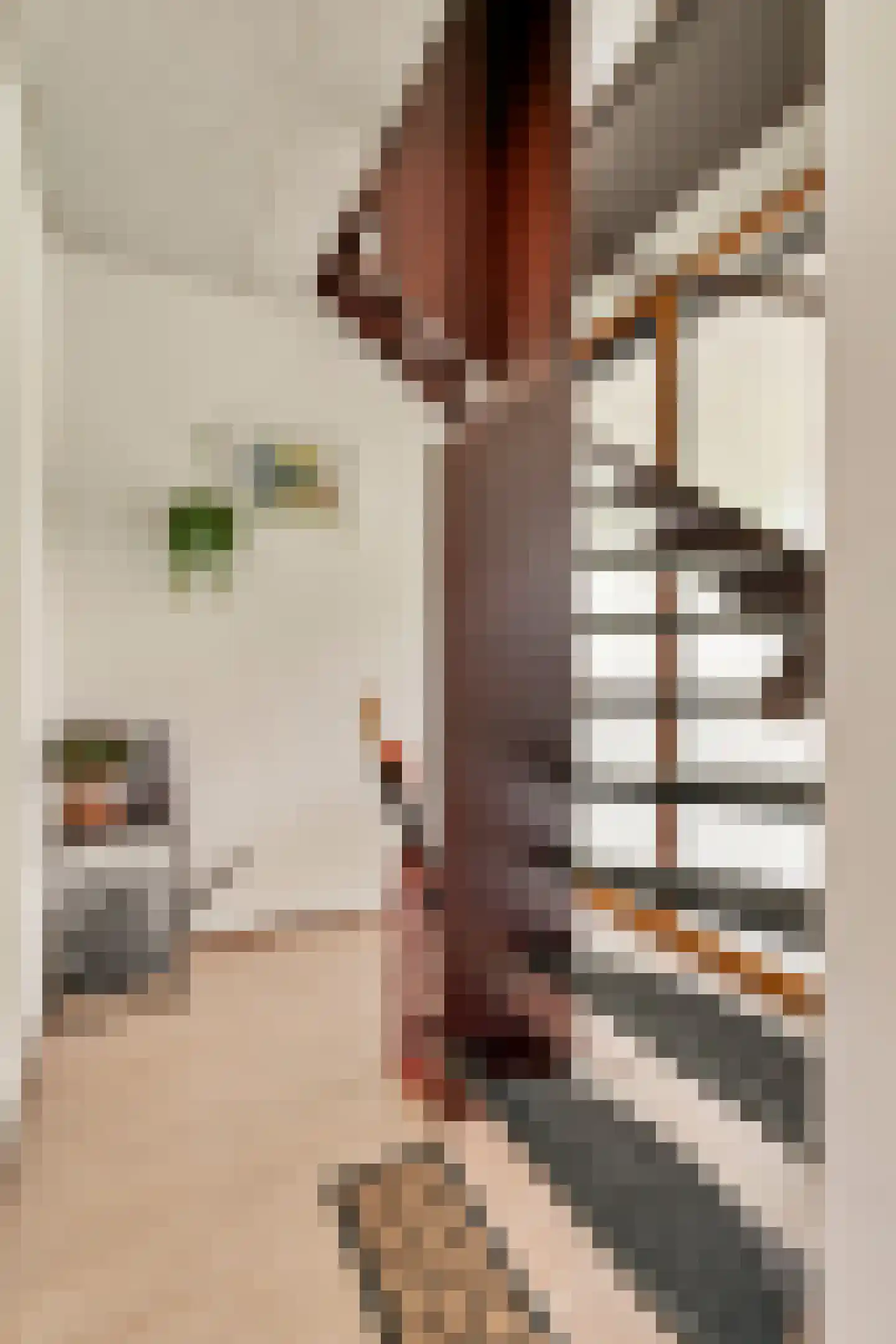 Het Laagt 224 Amsterdam thumbnail 4