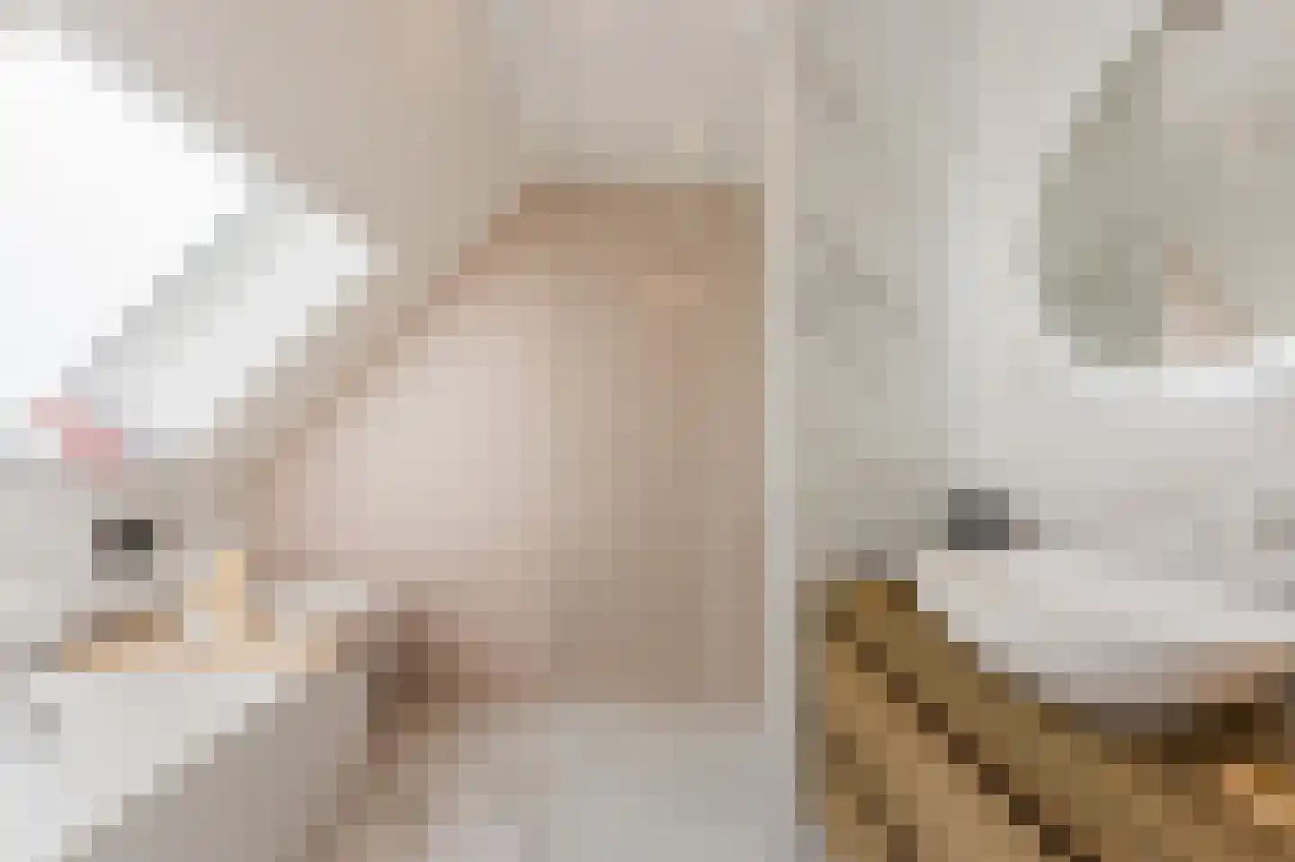 Het Laantje 19 Noordwijk thumbnail 30