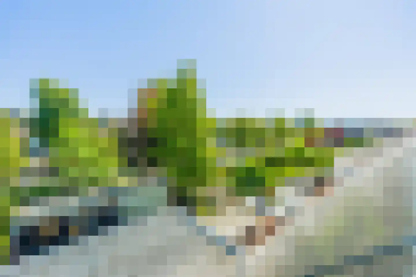 Het Laantje 19 Noordwijk thumbnail 56