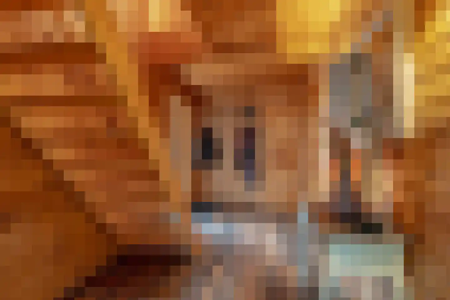 Het Laantje 2 A Drieborg thumbnail 10
