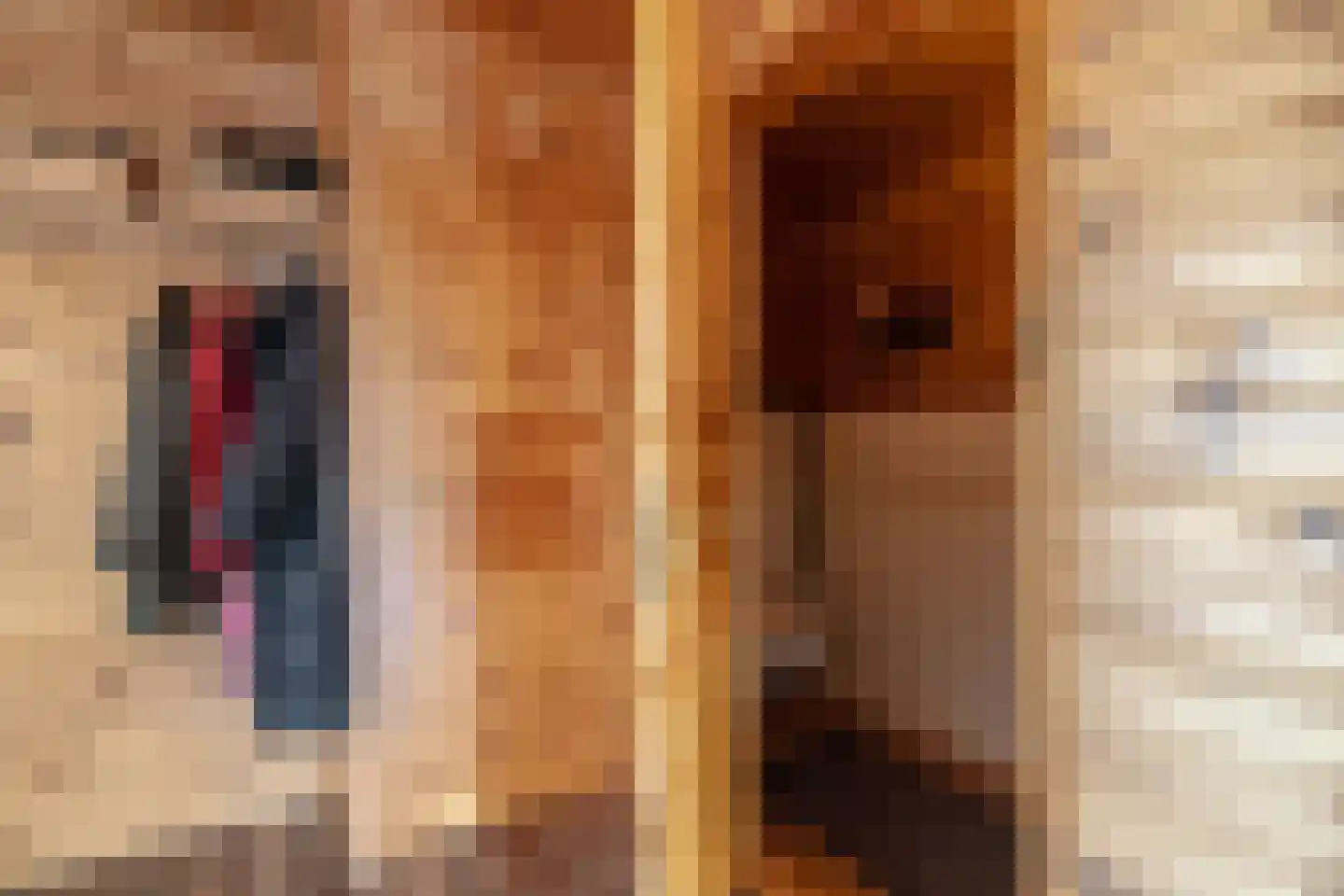 Het Laantje 2 A Drieborg thumbnail 11