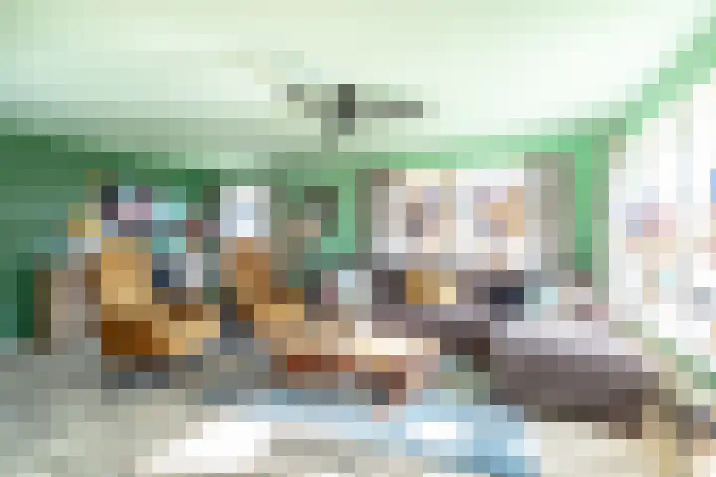Het Laantje 2 A Drieborg thumbnail 13