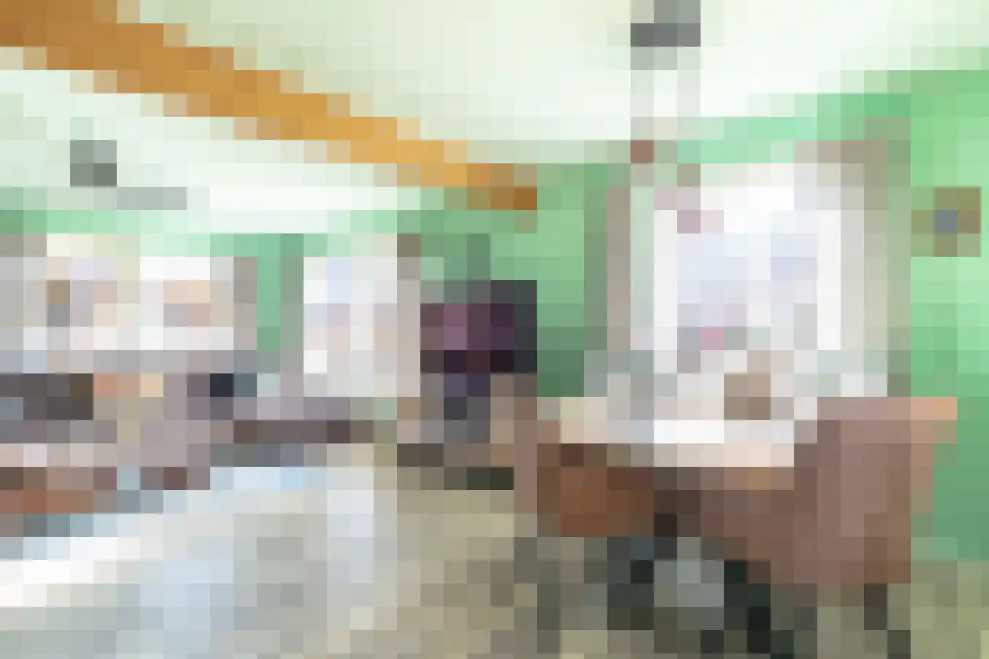 Het Laantje 2 A Drieborg thumbnail 15