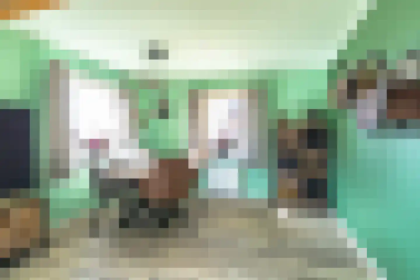 Het Laantje 2 A Drieborg thumbnail 16
