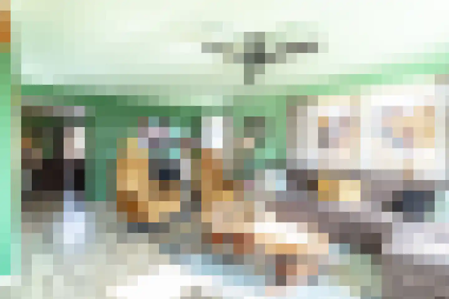 Het Laantje 2 A Drieborg thumbnail 17