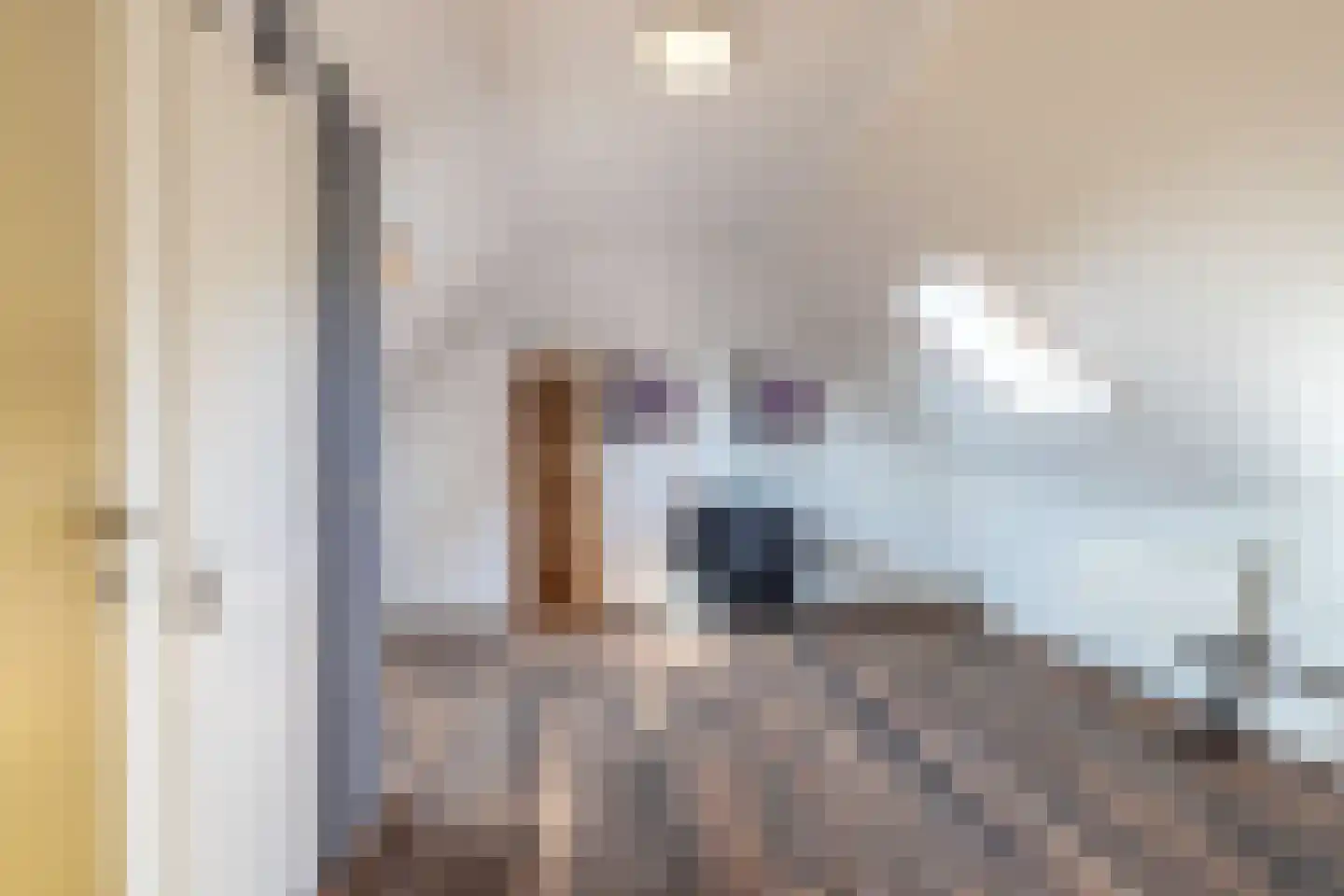 Het Laantje 2 A Drieborg thumbnail 34