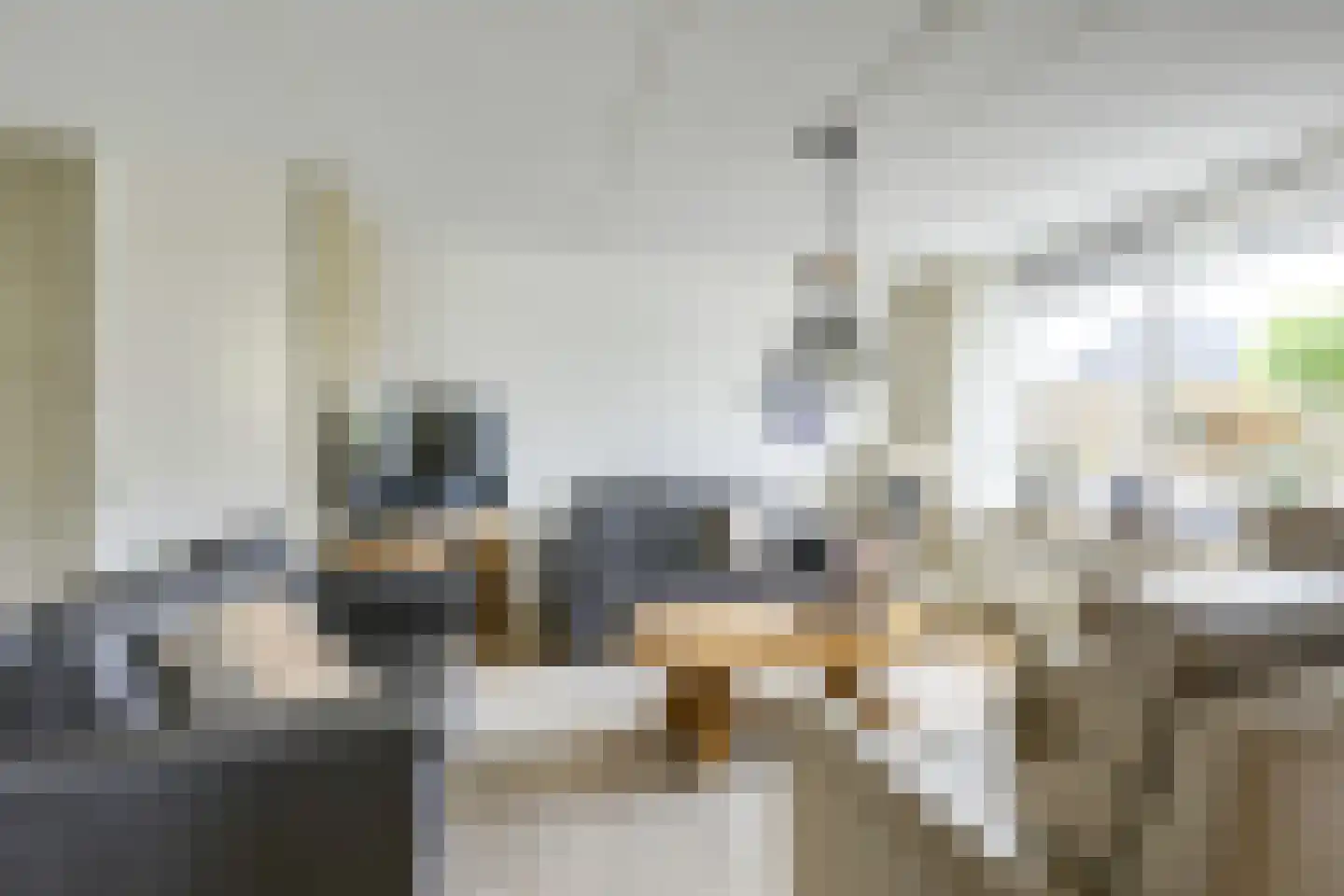 het Laantje 24 Hagestein thumbnail 10