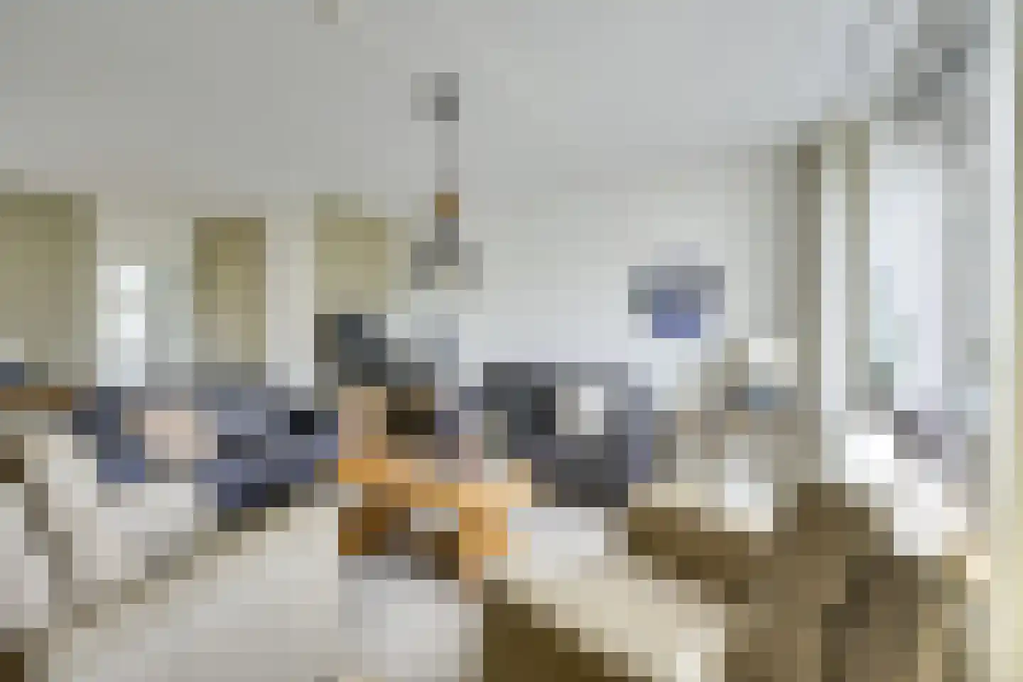 het Laantje 24 Hagestein thumbnail 11