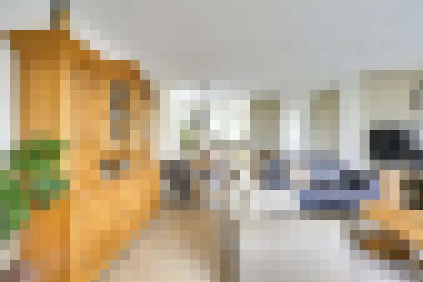 het Laantje 24 Hagestein thumbnail 12