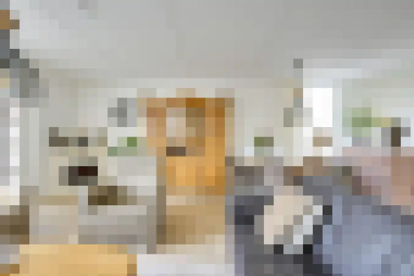 het Laantje 24 Hagestein thumbnail 14