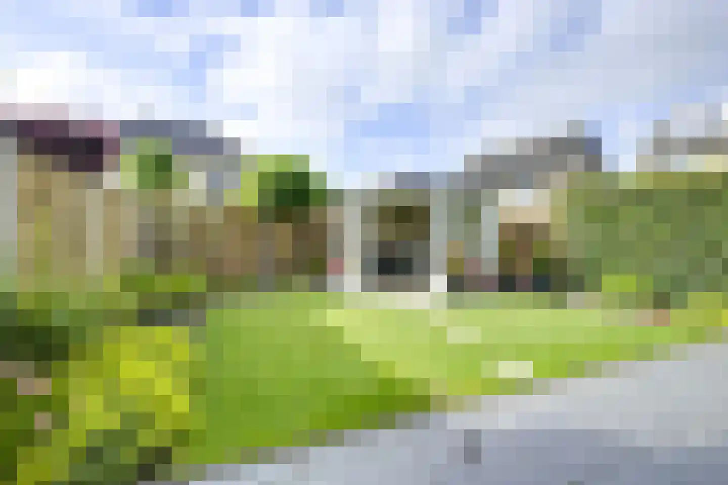 het Laantje 24 Hagestein thumbnail 28