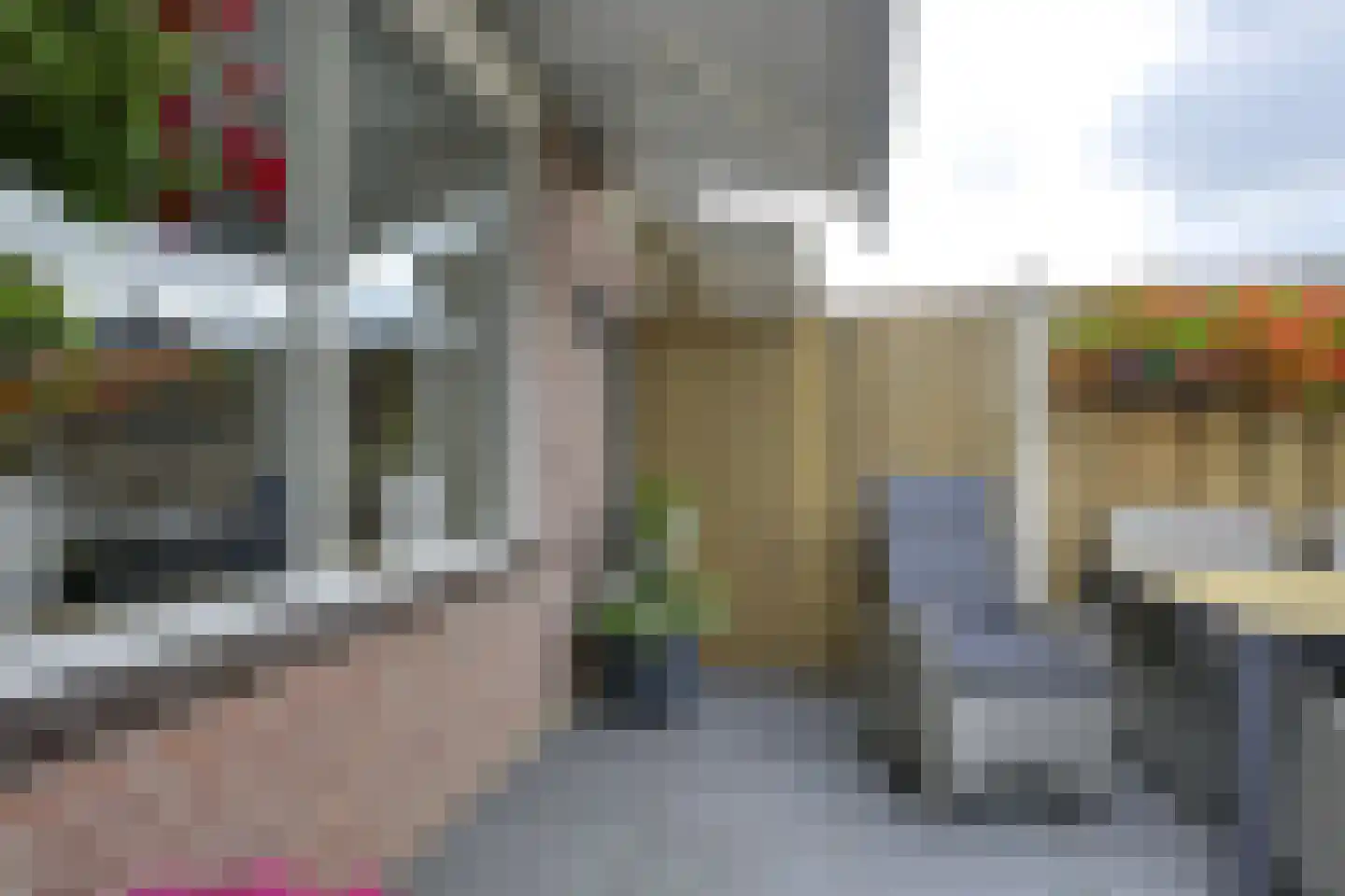 het Laantje 24 Hagestein thumbnail 38