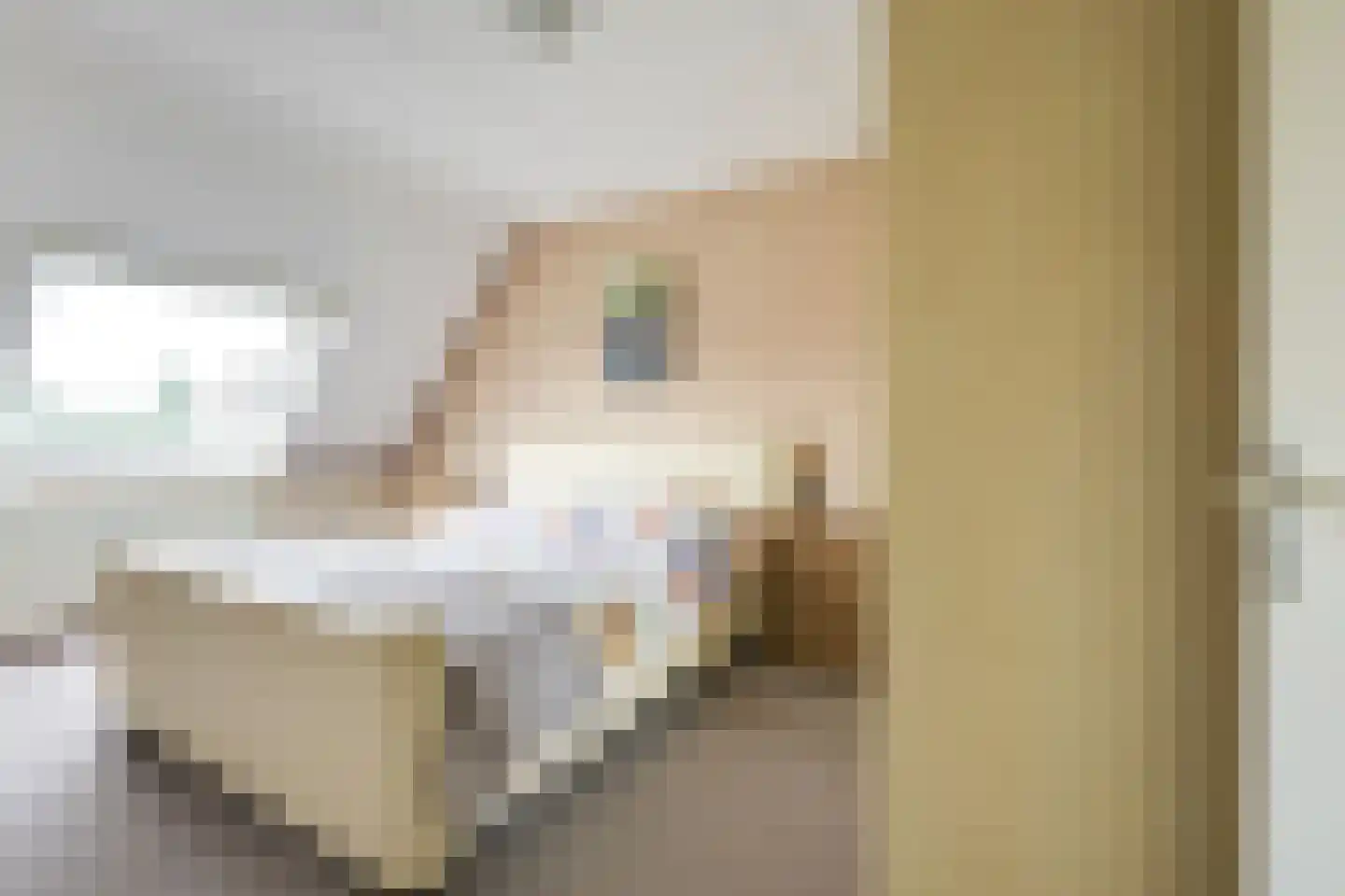 het Laantje 24 Hagestein thumbnail 43