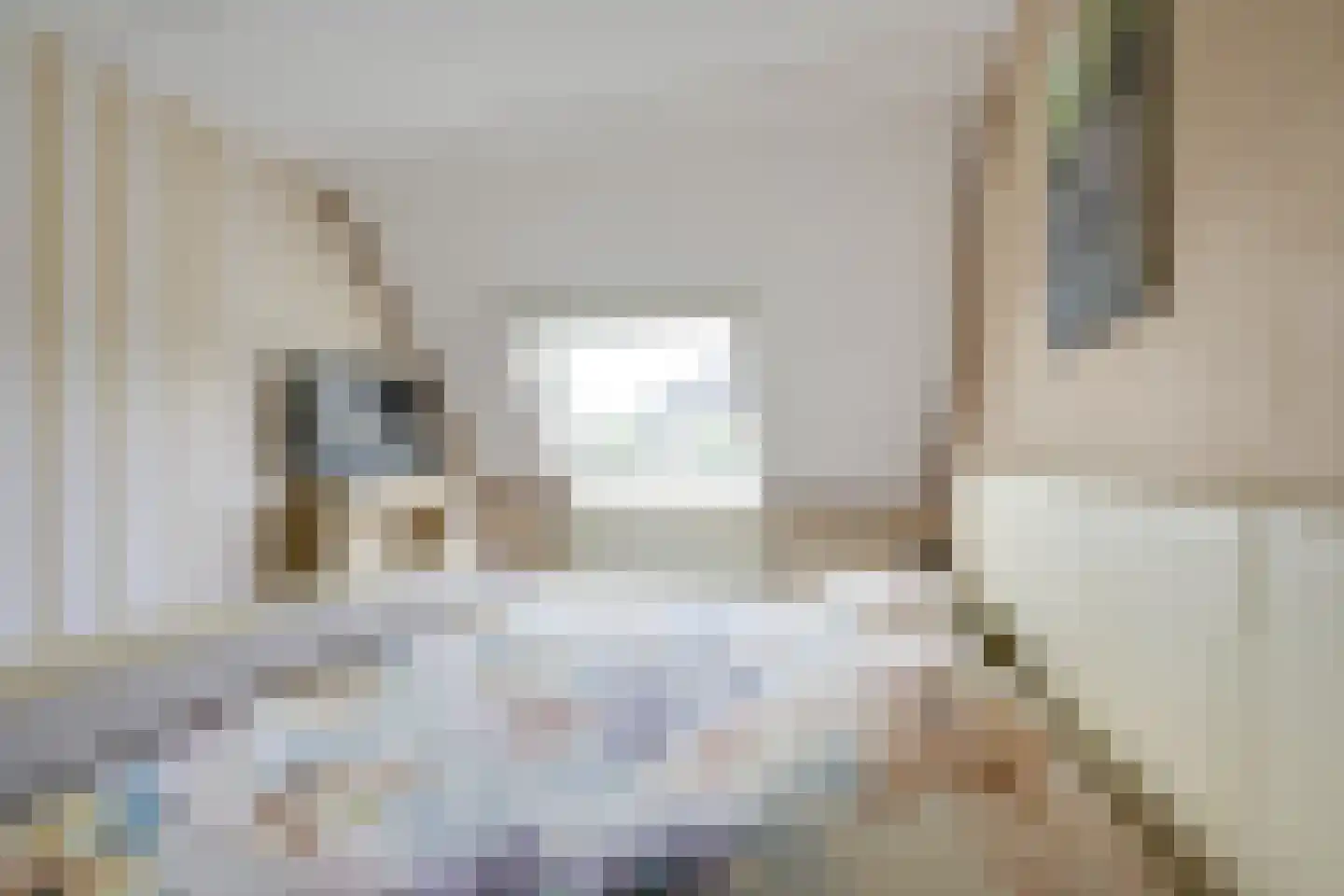 het Laantje 24 Hagestein thumbnail 45