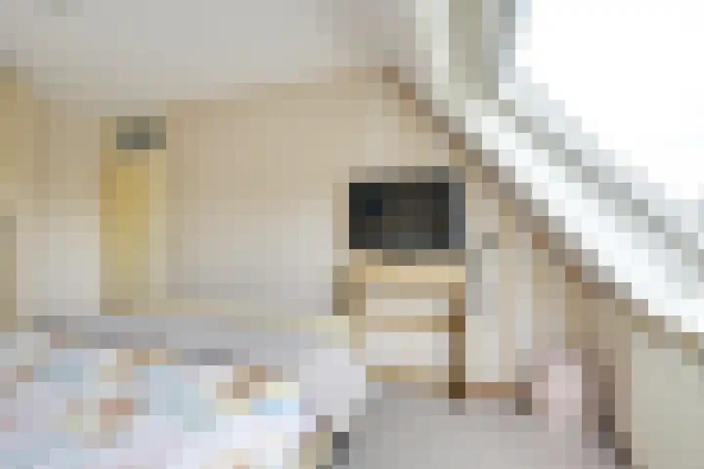 het Laantje 24 Hagestein thumbnail 46