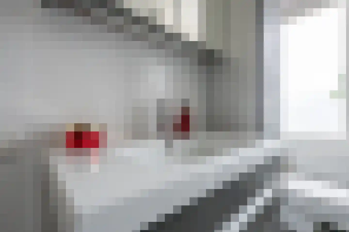 het Laantje 24 Hagestein thumbnail 56