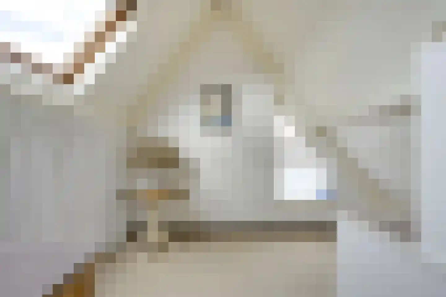 het Laantje 24 Hagestein thumbnail 60