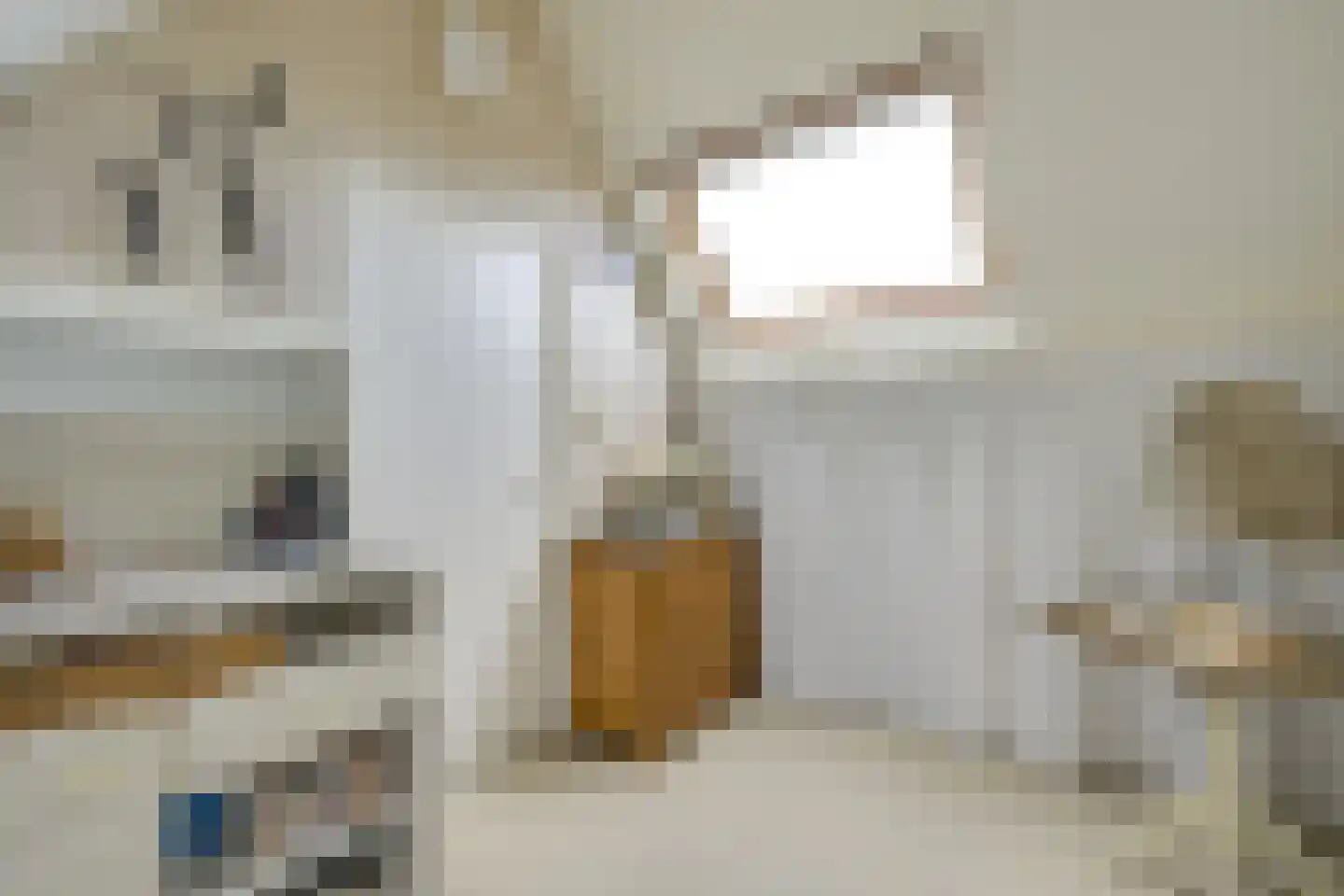 het Laantje 24 Hagestein thumbnail 62