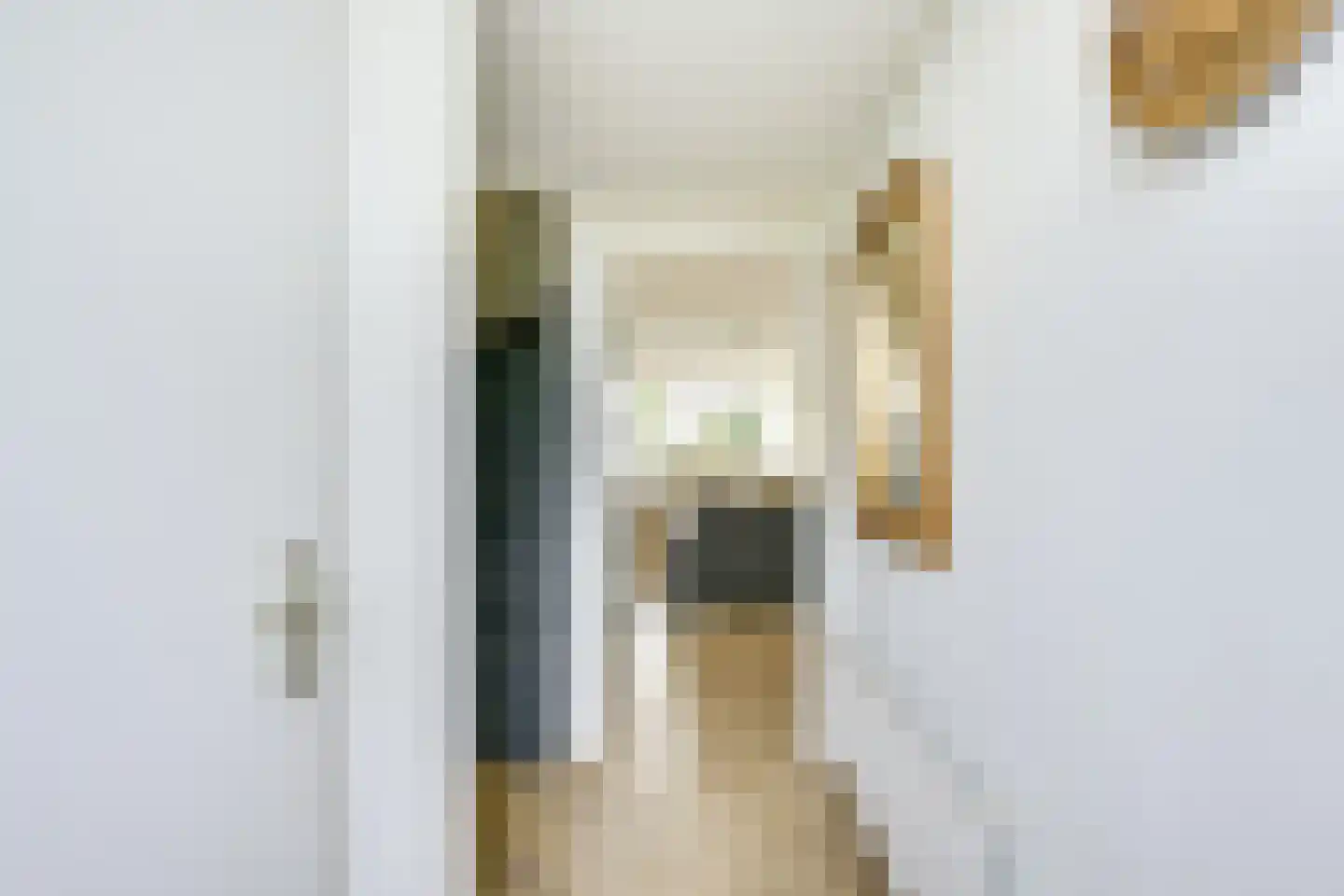 het Laantje 24 Hagestein thumbnail 7
