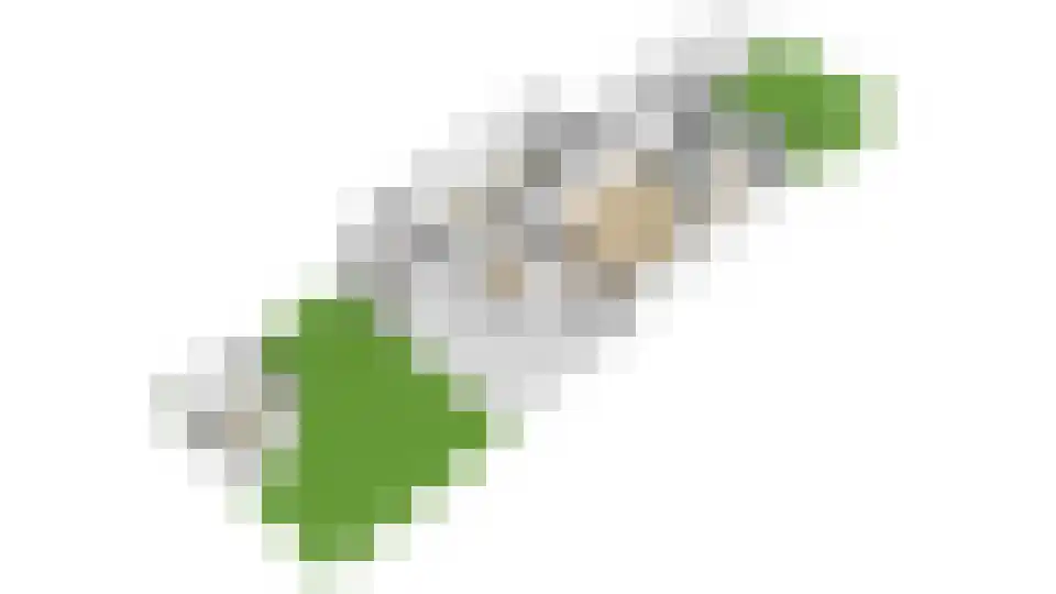 het Laantje 24 Hagestein thumbnail 85