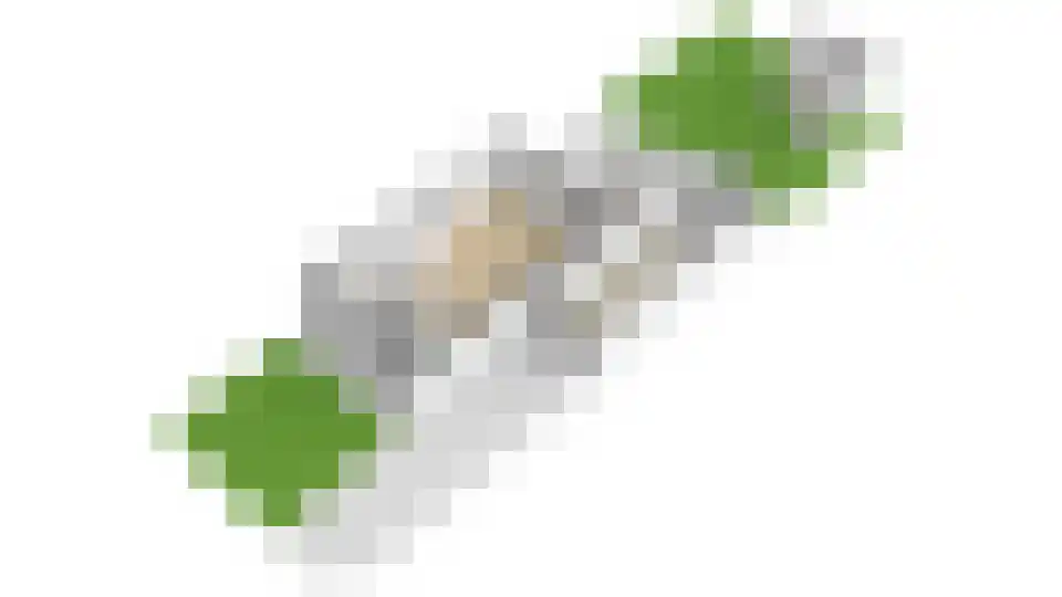 het Laantje 24 Hagestein thumbnail 86