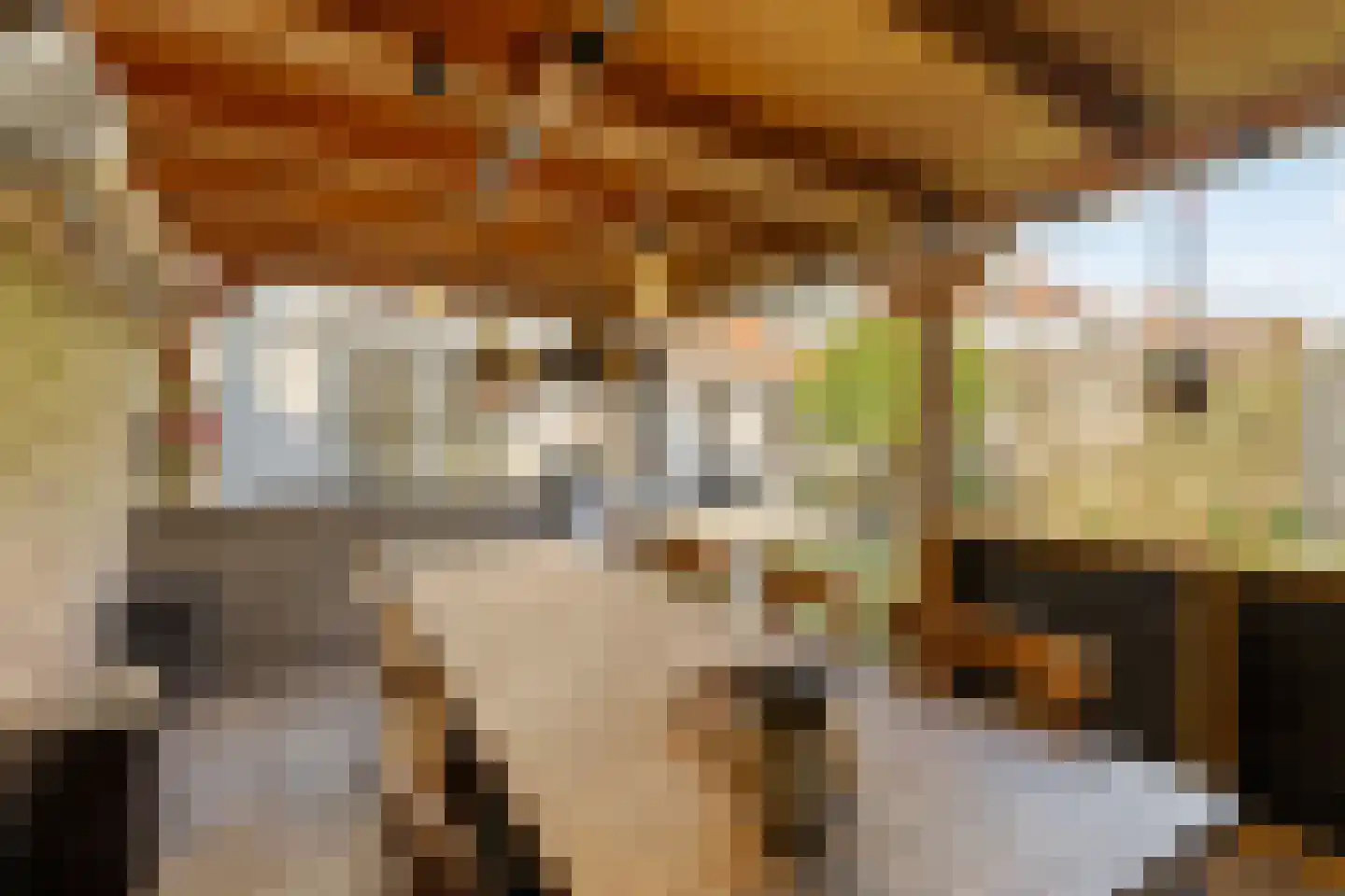 Het Laantje 27 Noordwijk thumbnail 11