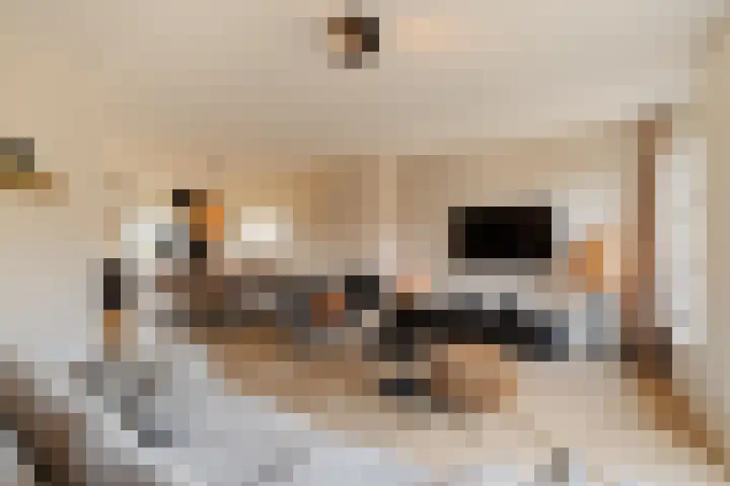 Het Laantje 27 Noordwijk thumbnail 13