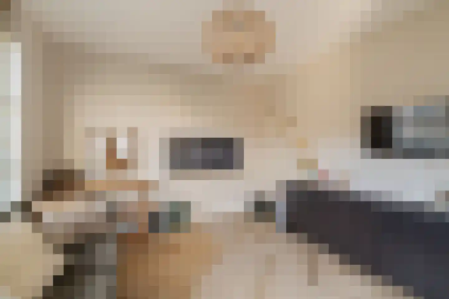 Het Laantje 27 Noordwijk thumbnail 15