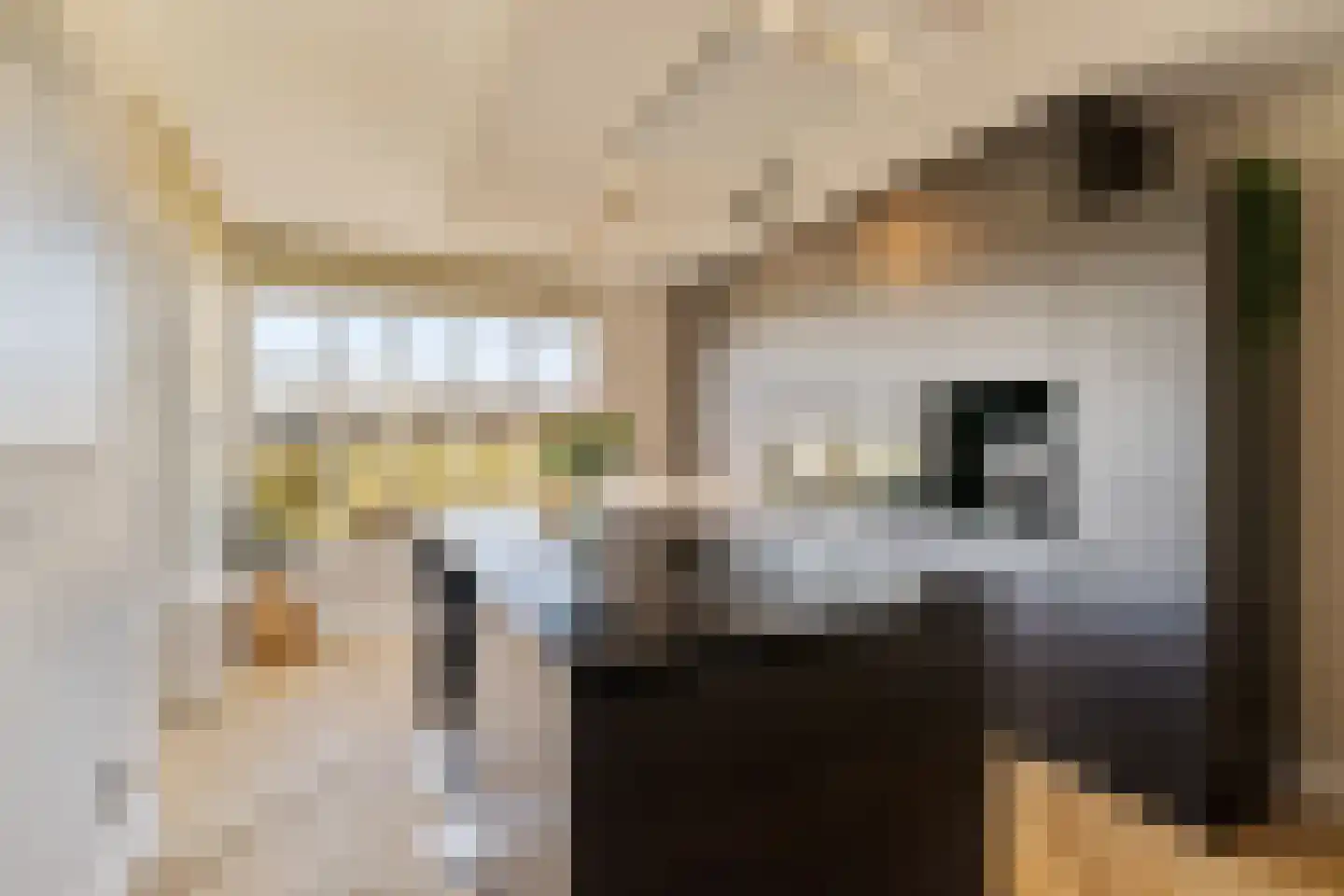 Het Laantje 27 Noordwijk thumbnail 19
