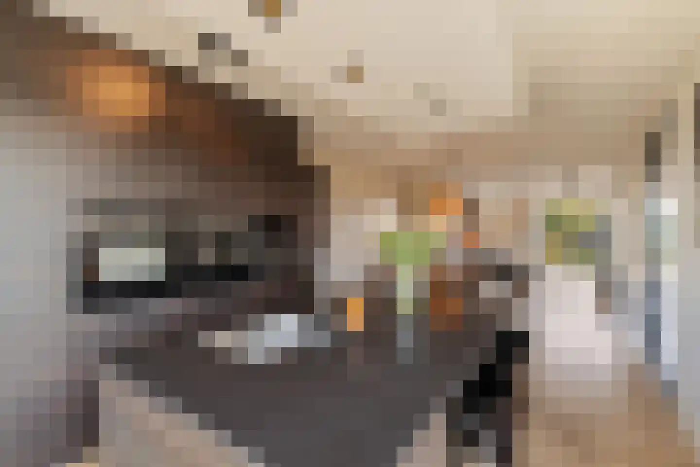 Het Laantje 27 Noordwijk thumbnail 21