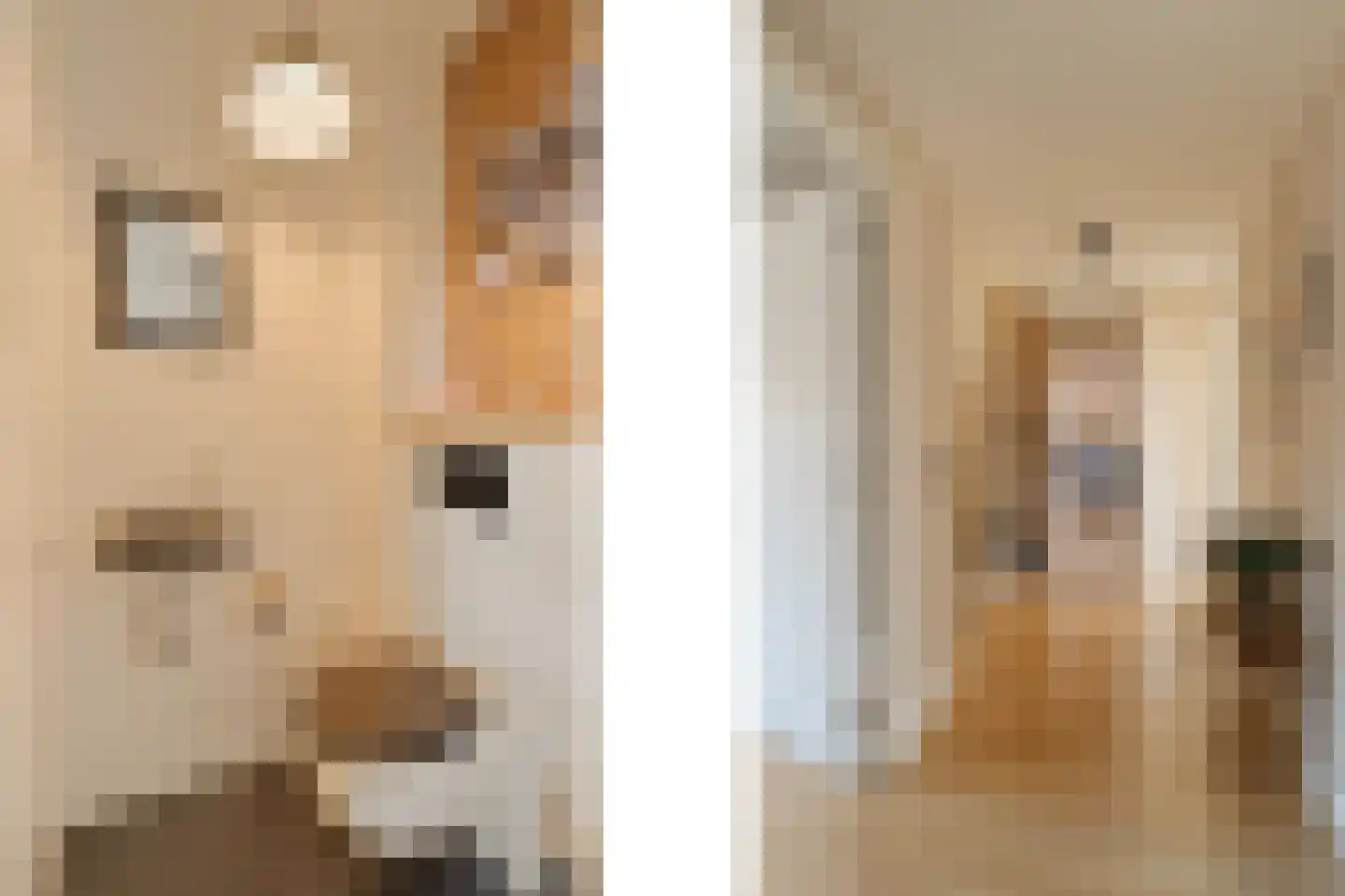 Het Laantje 27 Noordwijk thumbnail 23