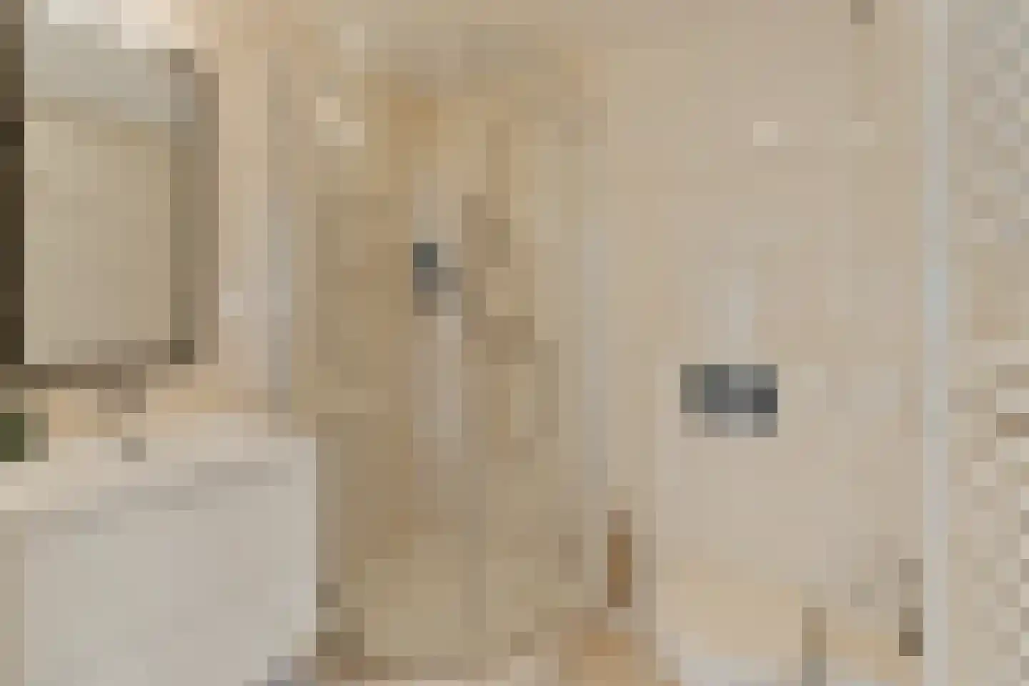 Het Laantje 27 Noordwijk thumbnail 33