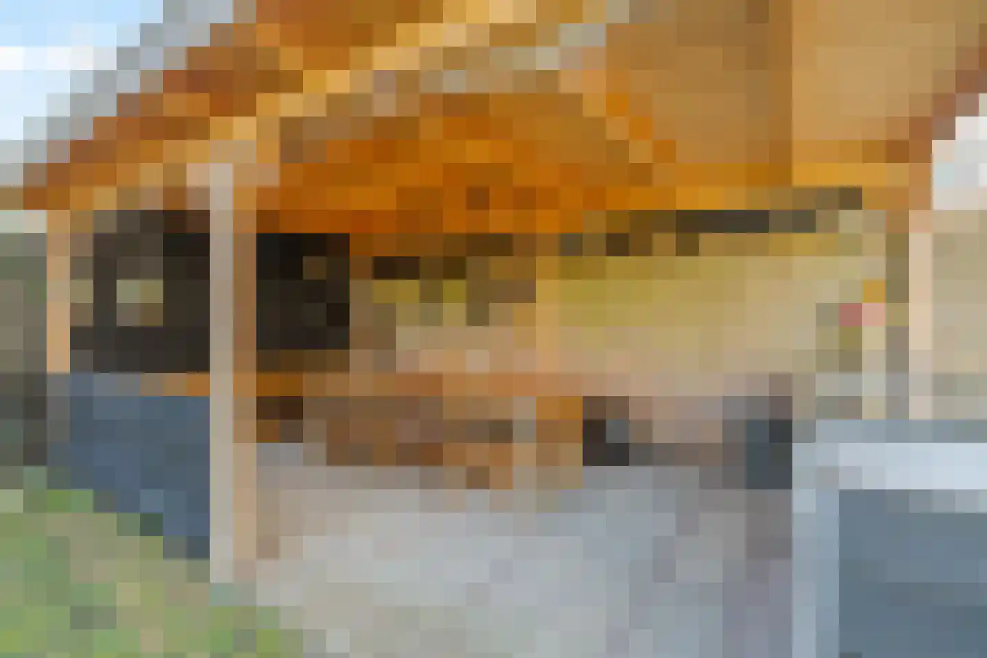 Het Laantje 27 Noordwijk thumbnail 9