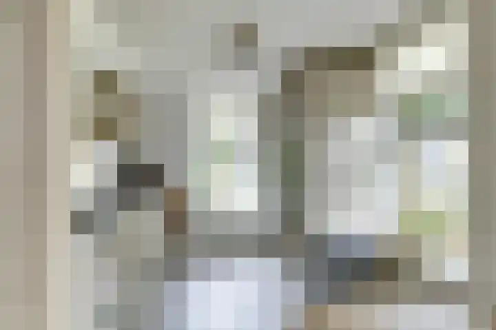 het Laantje 29 Hagestein thumbnail 10