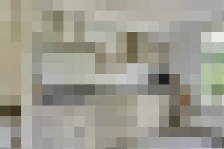 het Laantje 29 Hagestein thumbnail 11