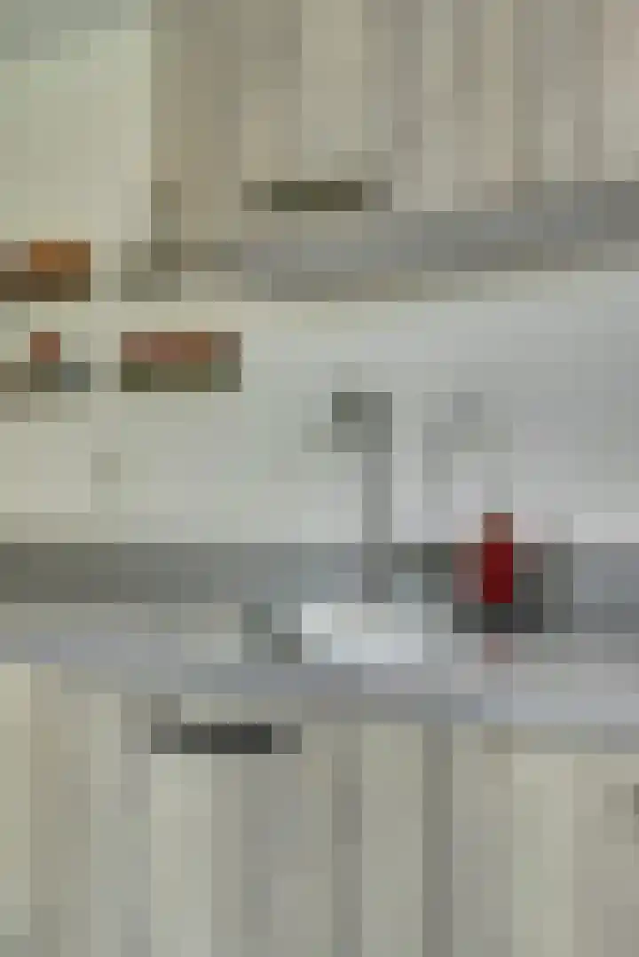 het Laantje 29 Hagestein thumbnail 13
