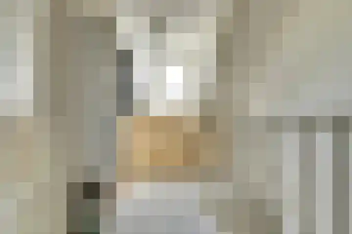het Laantje 29 Hagestein thumbnail 25