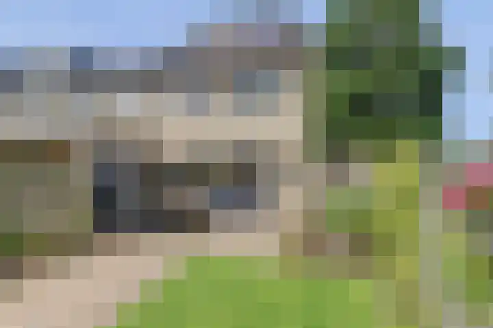 het Laantje 29 Hagestein thumbnail 31