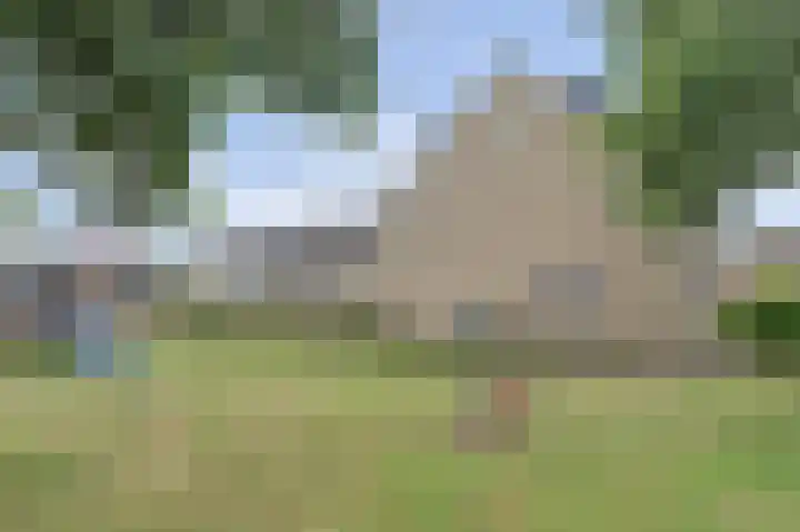 het Laantje 29 Hagestein thumbnail 34