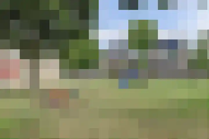 het Laantje 29 Hagestein thumbnail 35