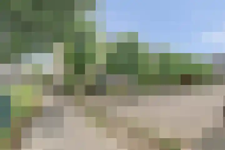 het Laantje 29 Hagestein thumbnail 36