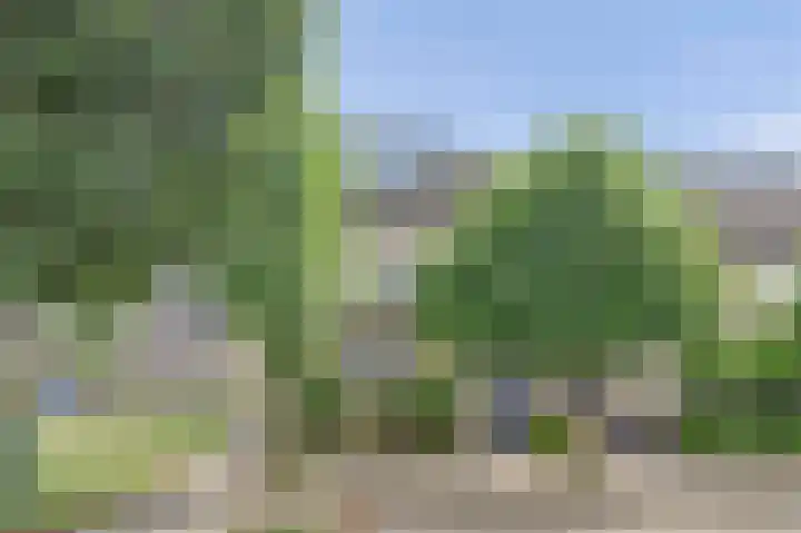 het Laantje 29 Hagestein thumbnail 49