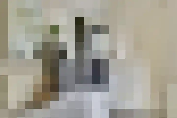 het Laantje 29 Hagestein thumbnail 5